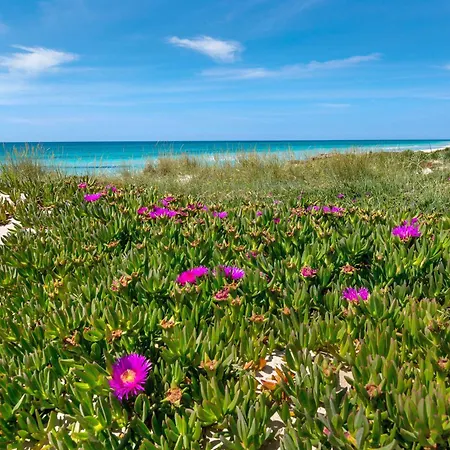 Casa Margot By Barbarhouse Holiday home Campomarino (Taranto)